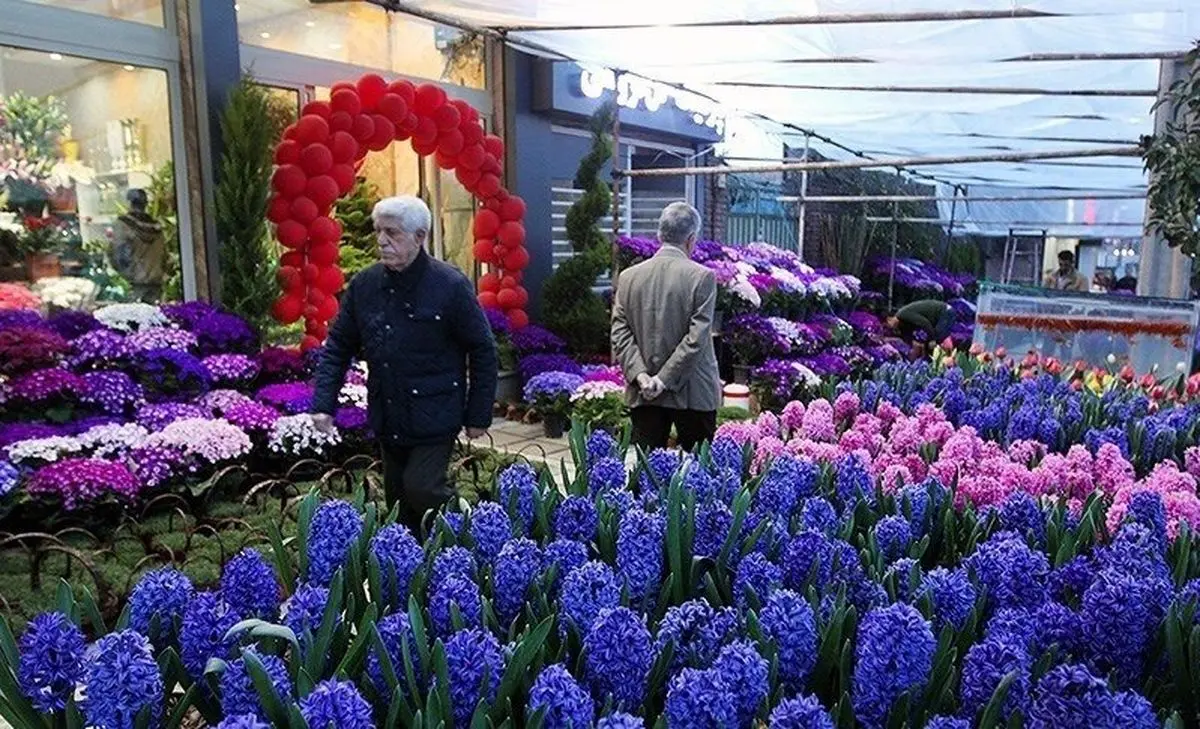 نرخ مصوب گلهای بهاری در بازار شب عید اعلام شد