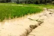 خسارات سیل در روستاهای سوسنگرد/ عکس
