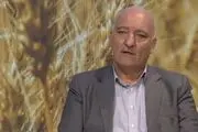 قیمت نهایی گندم هنوز تعیین تکلیف نشده است