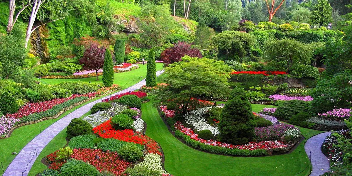 فضاهای سبز کوچک و تزئینی برای کاهش آلودگی هوا مناسب نیستند