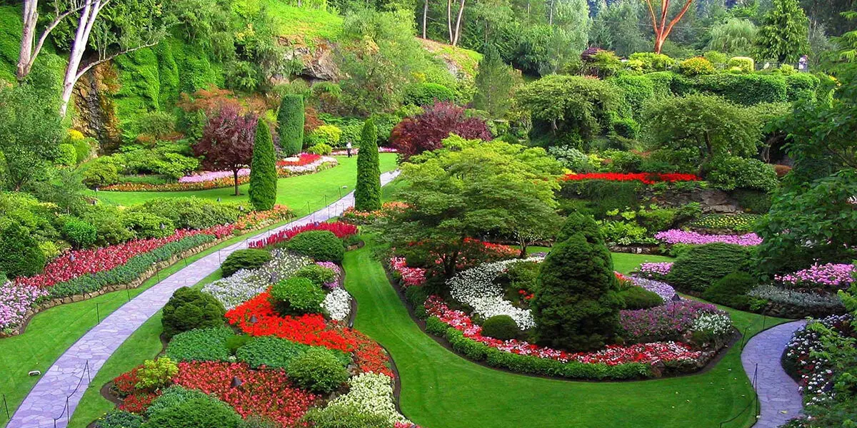 فضاهای سبز کوچک و تزئینی برای کاهش آلودگی هوا مناسب نیستند