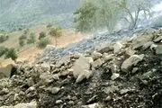 بیش از ۵۵۰ هزار هکتار از اراضی جنگلی لرستان تخریب شده است