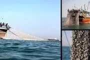 
شخم‌زدن کف خلیج فارس با «ترال»
