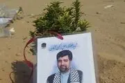 خداحافظی با ریزگردها با کاشت درخت در مسیر پیاده‌روی اربعین