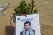 خداحافظی با ریزگردها با کاشت درخت در مسیر پیاده‌روی اربعین