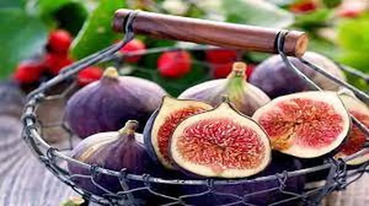درمان یبوست و سرفه با ترکیب انجیر با این روغن+ جزئیات