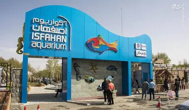 yv5bkTng96Xu
