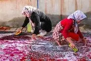 مزایا و معایب خطرناک «خانه تکانی» نوروزی را جدی بگیریم!