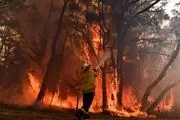 آتش سوزی گسترده در آمریکا

