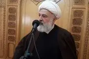 محور مقاومت نوک پیکان مبارزه با دشمن صهیونیستی است