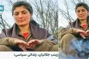 فعالان سیاسی که از اسلحه جدا نمی‎شوند!
