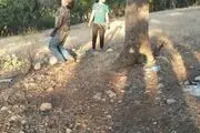 
خودکشی عجیب و همزمان دو جوان باطناب دار + عکس (18+)
