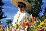 Vitamin D Deficiency May Cause Weight Gain
