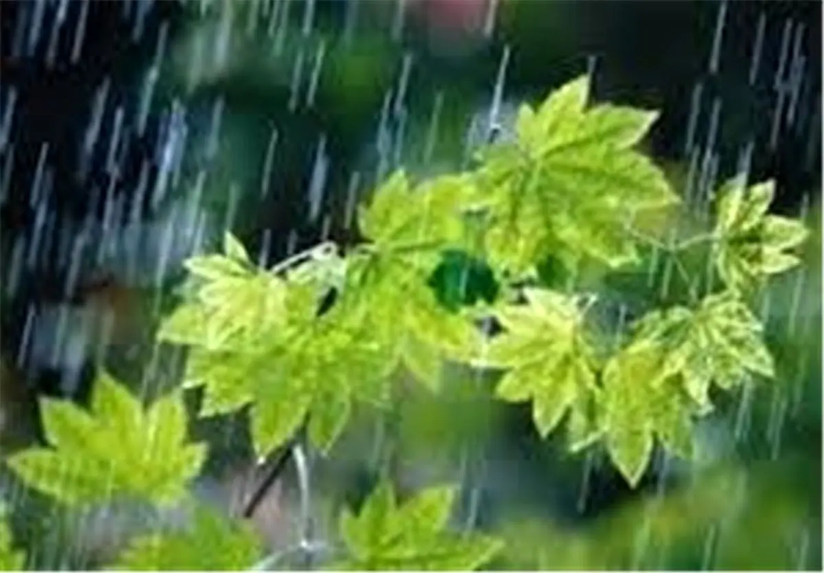 افزایش ۳۰ درصدی بارش باران در قزوین