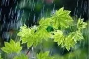  افزایش ۳۰ درصدی بارش باران در قزوین 