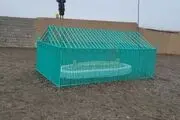 مقبره بنیانگذار طالبان رونمایی شد