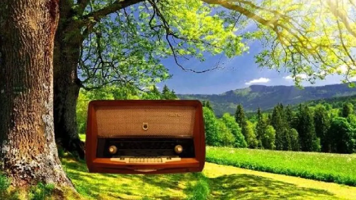 تابستان رنگارنگ با ویژه برنامههای رادیو