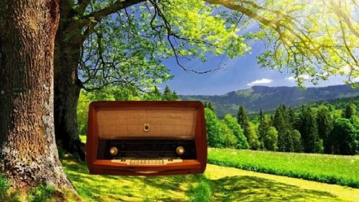 تابستان رنگارنگ با ویژه برنامه‌های رادیو