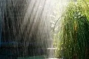 کاهش ۵۰درصدی حجم بارش‌های پاییزی
