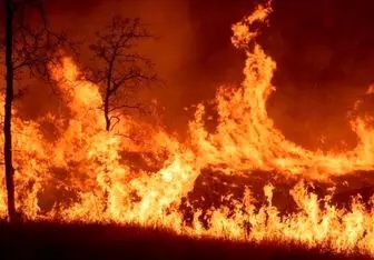 شمار کشته‌های آتش سوزی کالیفرنیا به ۴۲ تن افزایش یافت 