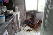 پیک نیک خانه مسکونی را به آتش کشید