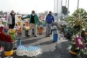 اجرای طرح جمع آوری و ساماندهی گل‌فروشان حاشیه بزرگراه شهید هاشمی