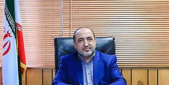 فرماندار تهران: زیست شبانه طرفداران زیاد و مخالفان جدی دارد