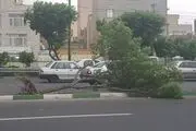 فوتی‌های طوفان در تهران به ۹ نفر افزایش یافت