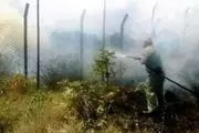 
آتش
سوزی در پناهگاه حیات وحش لوندویل آستارا 