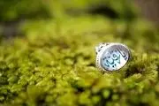 
ماجرای شنیدنی شفای دختربچه ۳ ساله با توسل به حضرت رقیه(س) 
