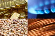 احتمال گرانی قیمت کالاهای مهم در سال آینده