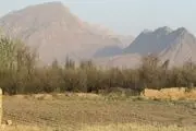 باغ های تزنگ سروستان در مسیر نابودی