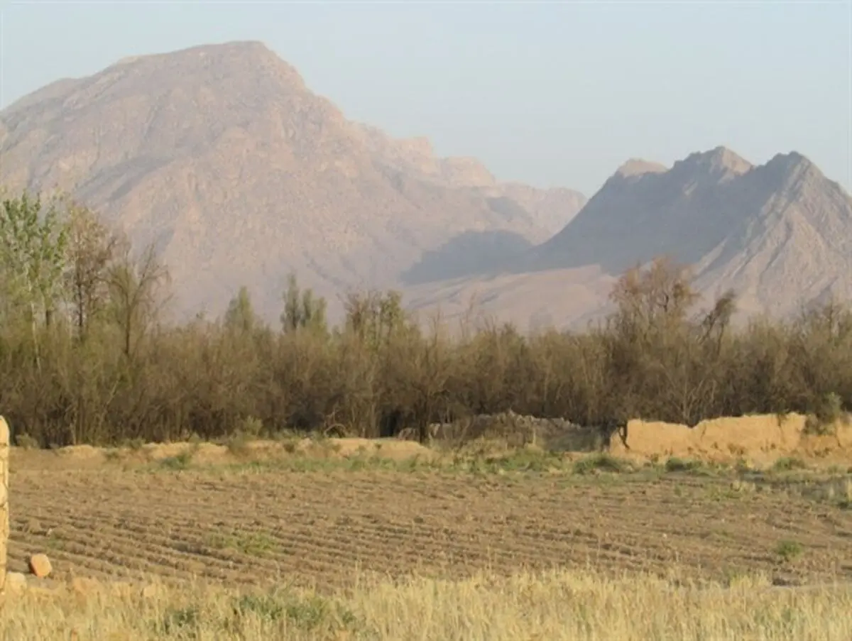 باغ های تزنگ سروستان در مسیر نابودی