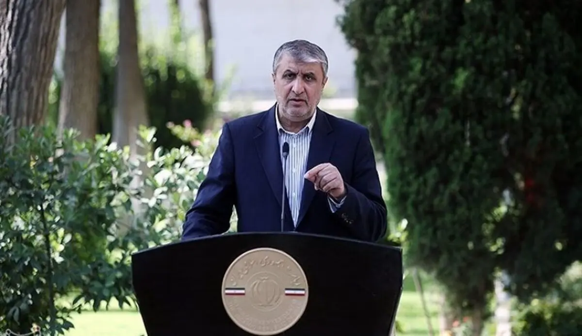 سهم انرژی هسته‌ای در سبد برق کشور باید به ۲۰درصد برسد
