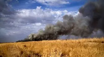 مهار آتش سوزی میقان اراک/ دلیل اصلی آتش تالاب مشخص شد