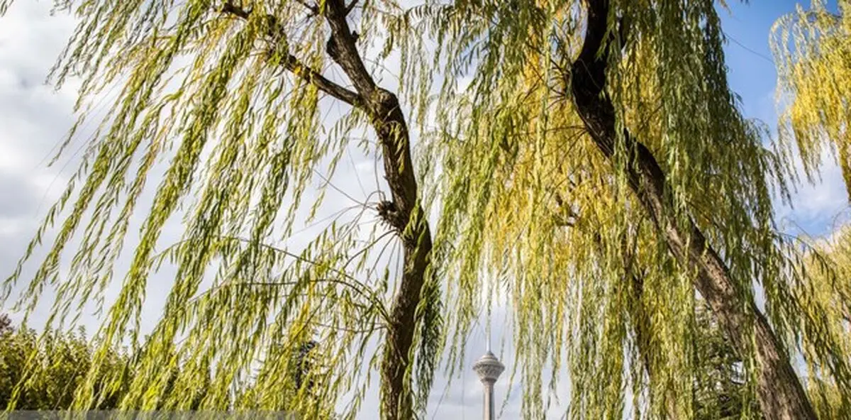 تنفس هوای فابل قبول در تهران
