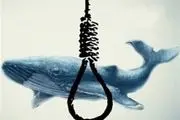 بازی «نهنگ آبی» زنگ خطر را در ایران به صدا درآورد