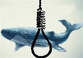 بازی «نهنگ آبی» زنگ خطر را در ایران به صدا درآورد