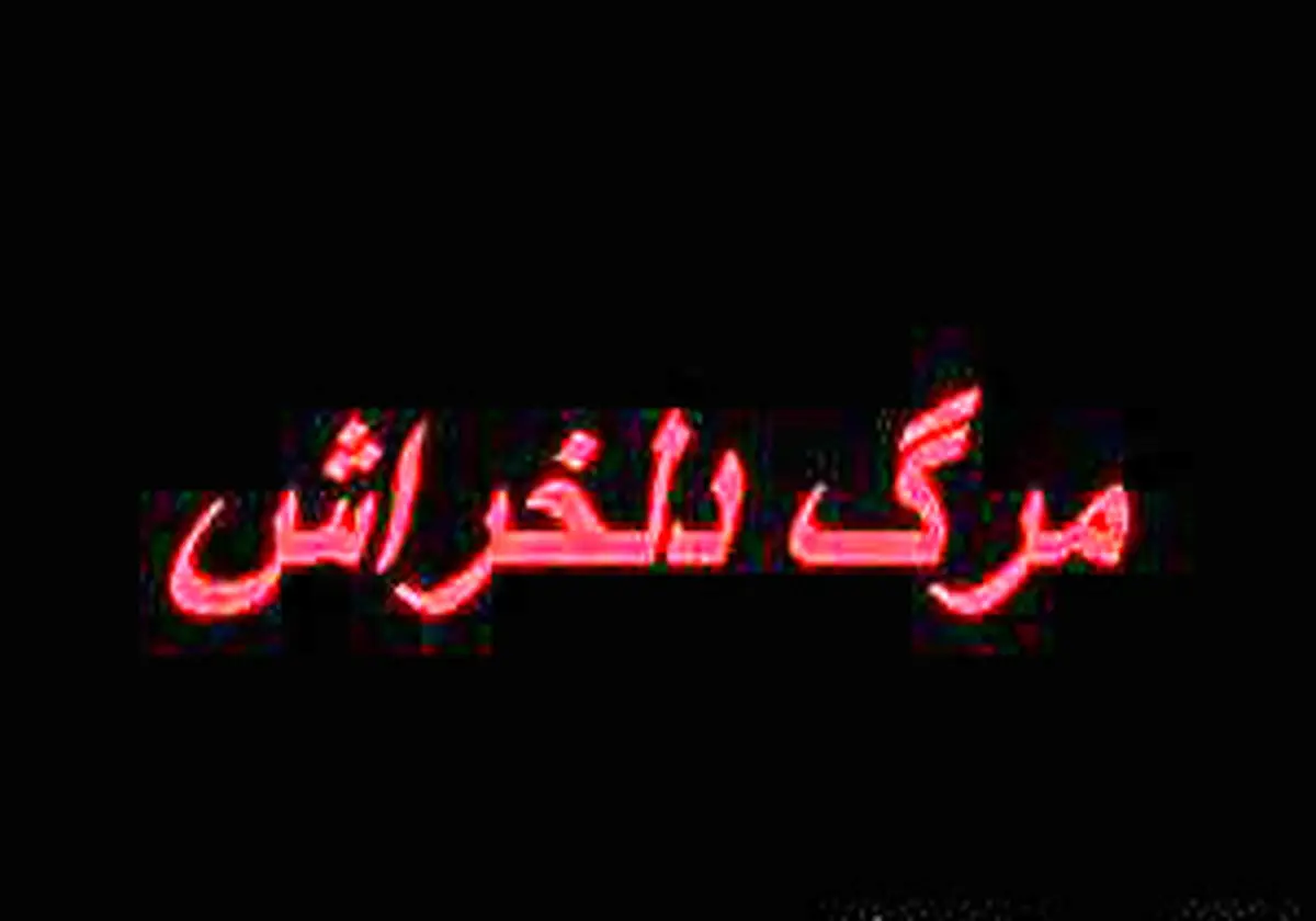 
مرگ دلخراش کودک یک ساله در مزرعه
