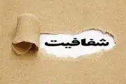 تفاوت های طرح جدید شفافیت آرای نمایندگان