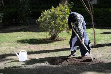 رهبر معظم انقلاب به مناسبت روز دختکاری نهال کاشتند/گزارش تصویری