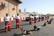 ضرورت بهره‌گیری از سیستم گردش اطلاعات در مدیریت حوادث