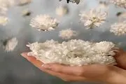 این افراد از تمام نعمت های دنیا و آخرت برخوردارند