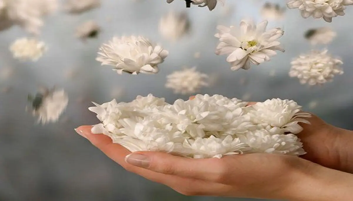 راهکار کلیدی امام صادق(ع) برای رسیدن به راحتی و آسایش