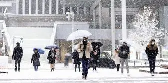 بارش برف ۲ متری در ژاپن+ تصاویر 
