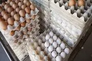 راز ارزانی ناگهانی تخم‌مرغ