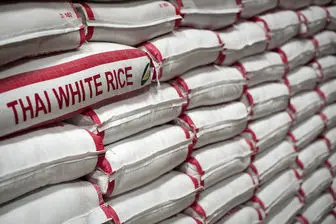 واردات برنج به ۷۸۶ هزار تن رسید
