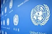 آزادی 5 کارمند ربوده‌شده سازمان ملل در یمن