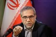 ائتلاف با بلوک آفریقایی و آمریکای لاتین، دیپلماسی موفق دولت است