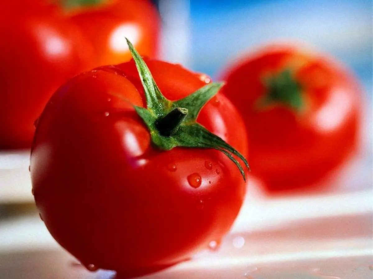 پای گوجه چینی به ایران باز میشود